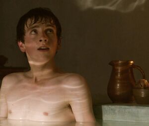 Full Frontal Video with Viva Bianca - Spartacus Blood and Sand s01e10 (2010)
