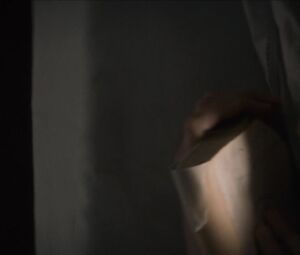 Naked Marion Cotillard - Mal De Pierres (2016)