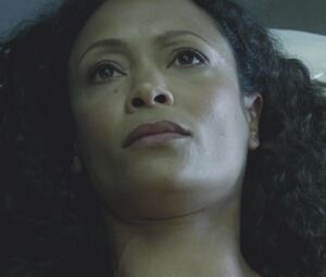 Naked Thandie Newton, Evan Rachel Wood - Westworld S01E02 (2016)