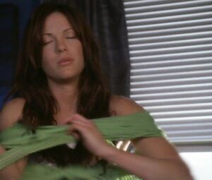 Sex video Danneel Harris nude - Ten Inch Hero (2007) 