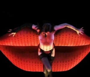Nude girl art - Christian Louboutin & Mia Martina - Fire