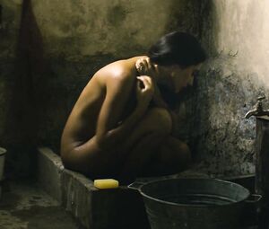 Golshifteh Farahani nude - The Patience Stone