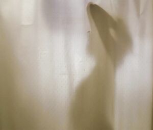 Denise Richards, Marley Shelton nude - Valentine (2001)