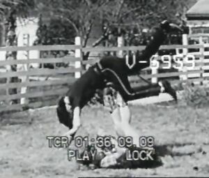 Classic sex scene Caroline Cotton - Rare Vintage Judo F/m