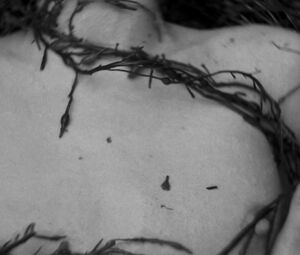 Nude Valeriia Karaman - The Lighthouse (2019)