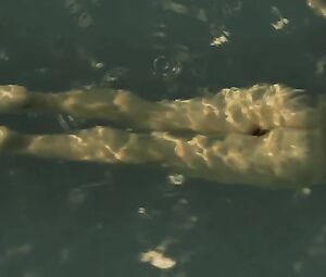 Leticia Leon nude - Molina's Borealis (2013)